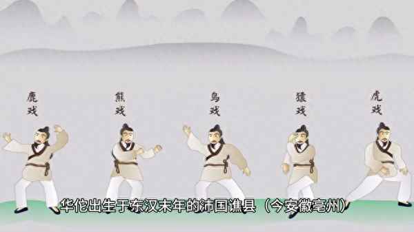 描寫動物動作的好詞_動物加動作的詞3個字