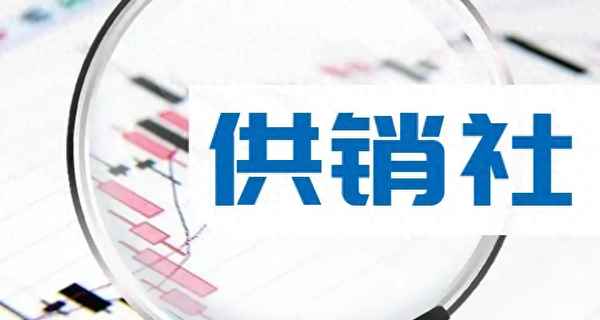 供销社战投供销大集;供销社下属八大公司