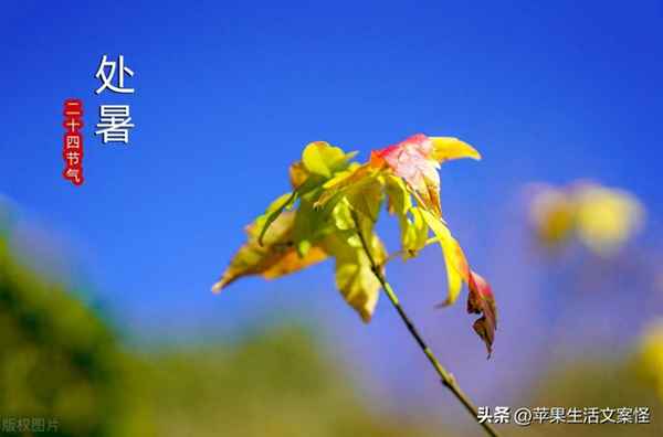 防暑降溫的溫馨關心語;防暑降溫溫馨提示語