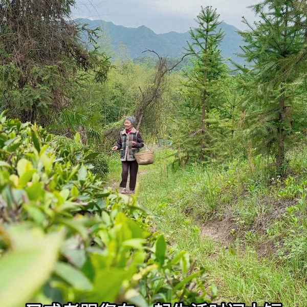 想對爺爺奶奶說的心里話、想對爺爺奶奶說什么