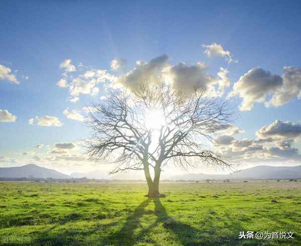 望江南斯人若彩虹;微信打字九宫格怎么设置