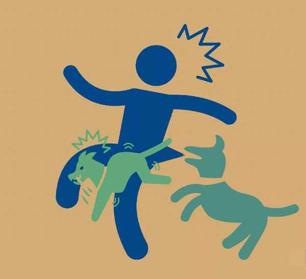 我喂的流浪狗咬人了怎样办_我喂养的流浪狗咬了人要承担责任吗？