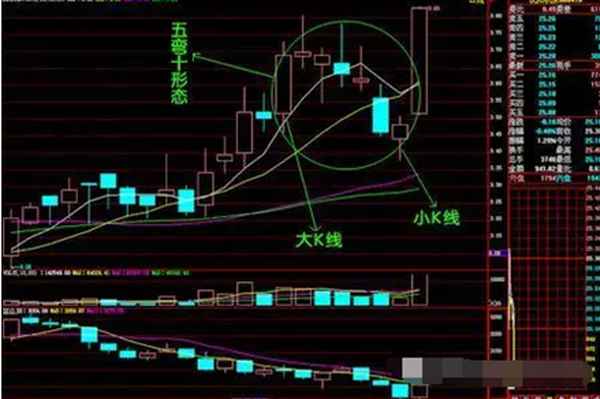 大柱的位置圖和作用、大柱的準確位置圖作用功效