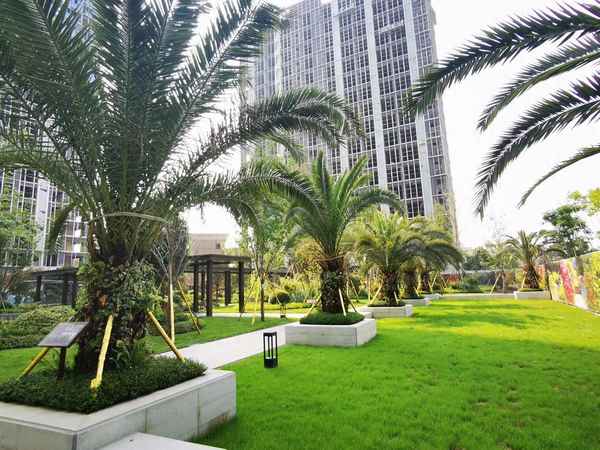 带燃气的公寓和不带有何区别—带燃气的公寓和不带燃气的公寓