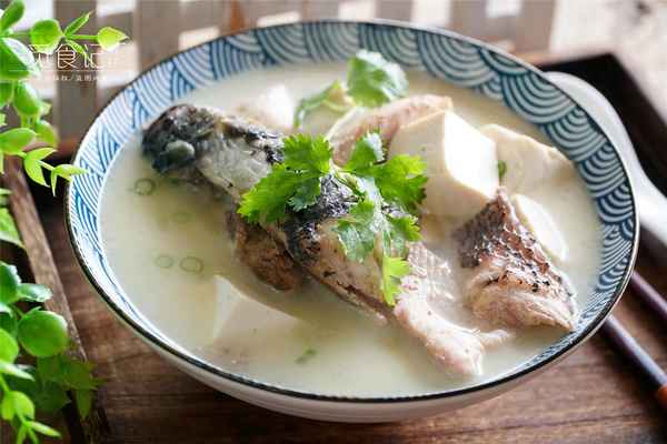 雞湯豆腐湯的做法大全_雞湯豆腐湯的做法大全視頻
