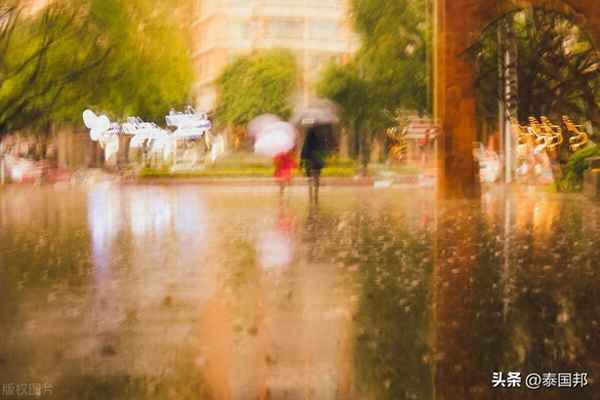 電視劇曼谷雨季【電視劇曼谷雨季資源】