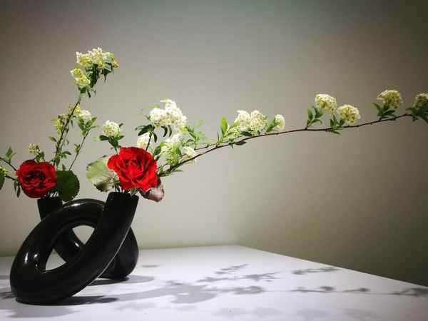 花卉鉴赏与花文化论文—花卉欣赏与花文化课程心得体会