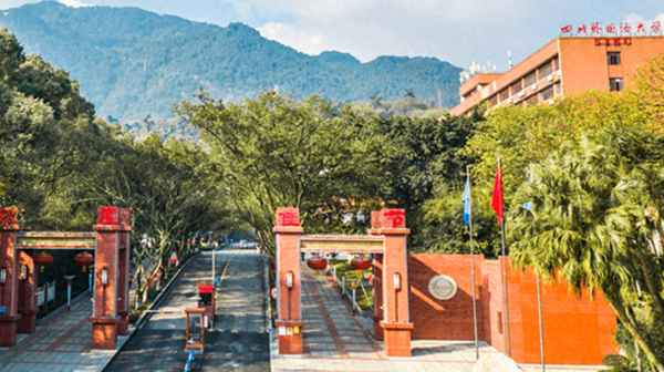 重慶旅游學校,重慶旅游職業學院師資力量