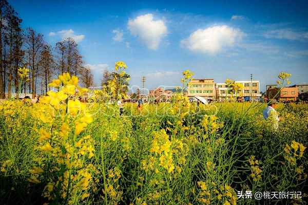 珠海斗门旅游必去的4个景点;珠海斗门旅游必去的4个景点是什么