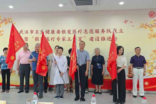 醫療志愿服務隊,醫療志愿服務隊主要職責