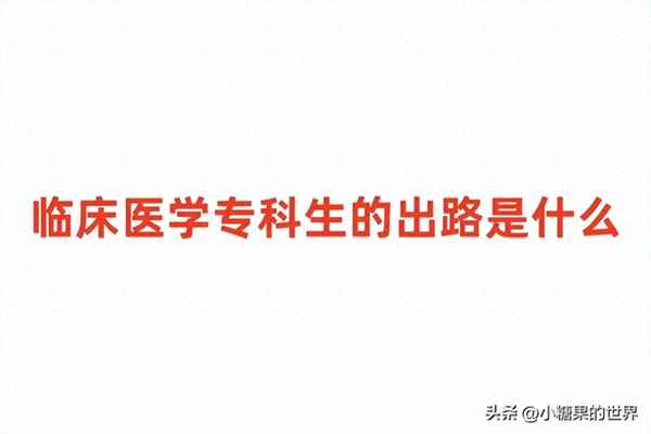 健康管理大專生的出路(大專學健康管理有用嗎)
