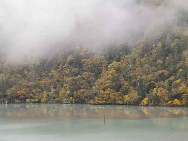 雅安旅游攻略二日游【雅安三日游最佳方案表】