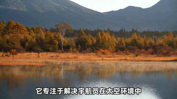 傳統(tǒng)醫(yī)療和智慧醫(yī)療的區(qū)別(智慧旅游與傳統(tǒng)旅游的區(qū)別)