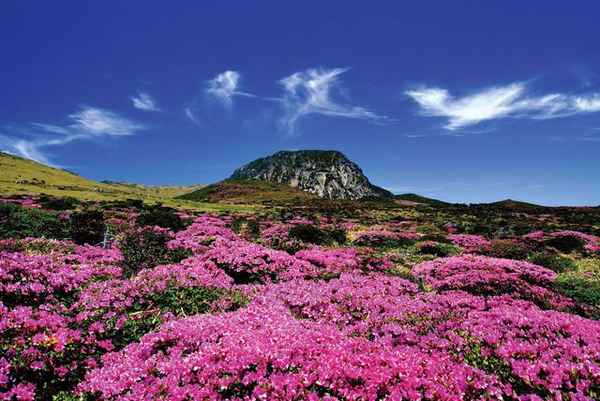 韩国济州岛旅游攻略必去景点、韩国济州岛旅游攻略必去景点几月份去好