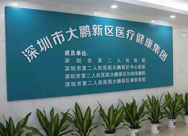 大鵬新區醫療健康集團,熊宇大鵬醫療健康集團副書記