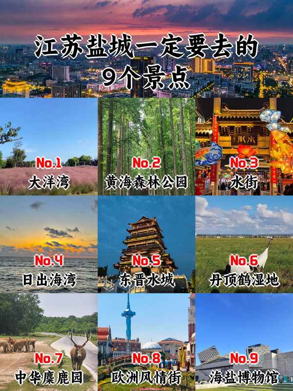 盐城旅游景点(盐城自驾一日游最佳去处)