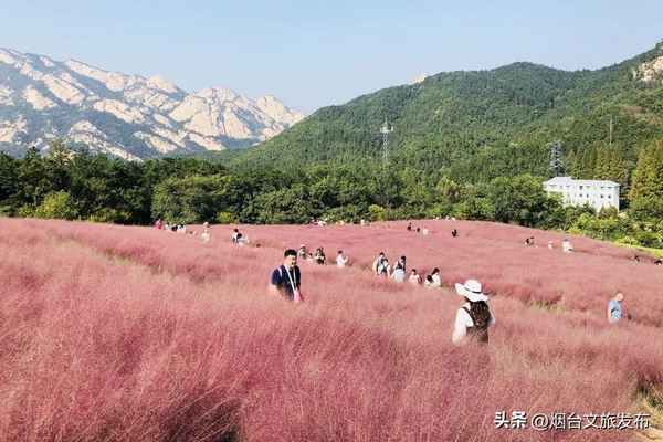 昆嵛山旅游攻略-昆嵛山旅游攻略必去景点