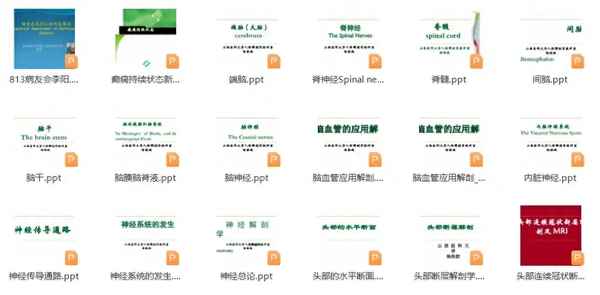 神經(jīng)內(nèi)科健康科普ppt、醫(yī)學(xué)科普PPT