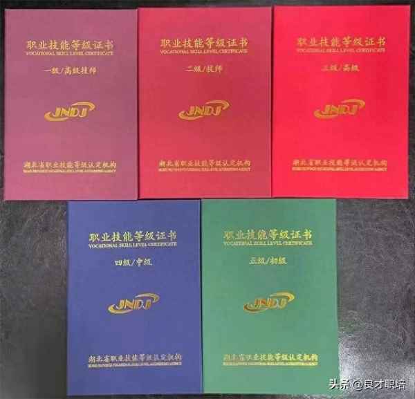 健康管理大專生的出路(大專學健康管理有用嗎)