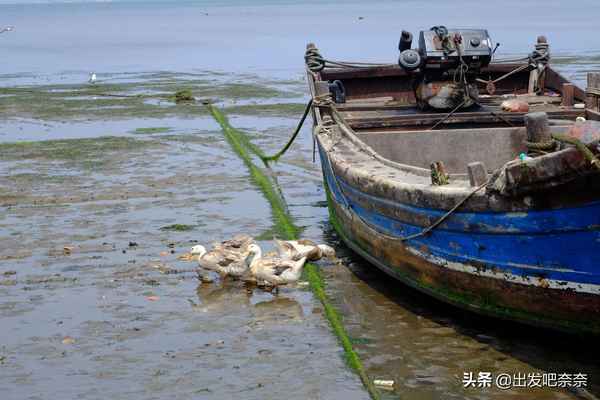 广鹿岛旅游攻略,广鹿岛旅游攻略方案