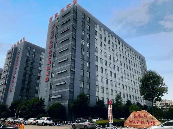武漢康立優醫療發展有限公司【武漢康立優醫療發展有限公司是國企嗎】
