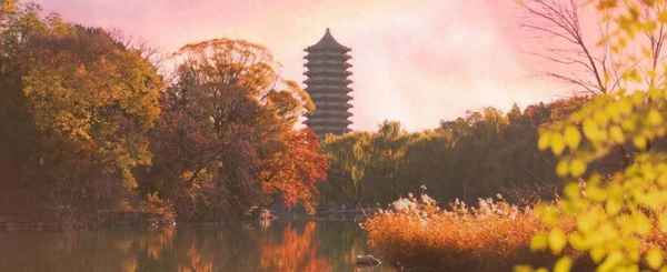 北京大學(xué)健康發(fā)展研究中心,北京大學(xué)健康管理中心