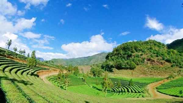 云南臨滄旅游攻略(云南臨滄旅游攻略圖)