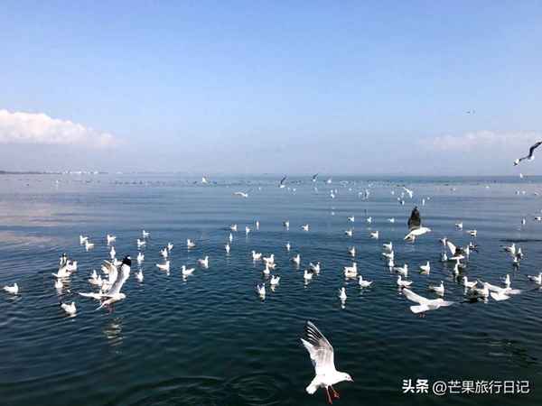 大理麗江旅游攻略(大理麗江旅游攻略自由行)