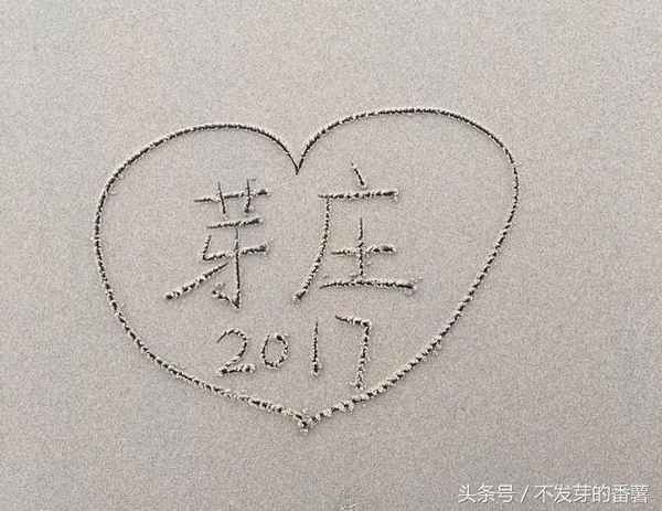 芽莊旅游注意事項,越南芽莊旅游的十大忠告