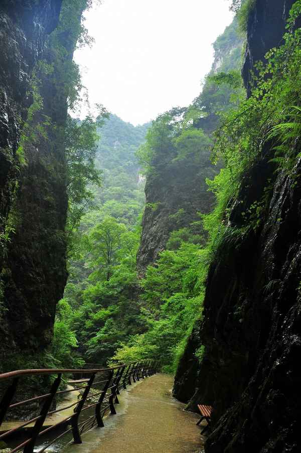 金丝峡旅游攻略,金丝峡景区图片