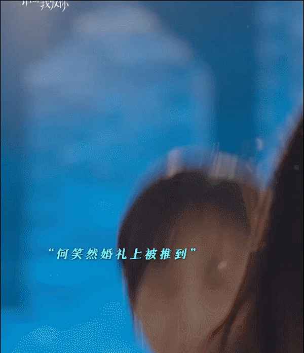 天涯织女 电视剧—天涯织女全集免费观看