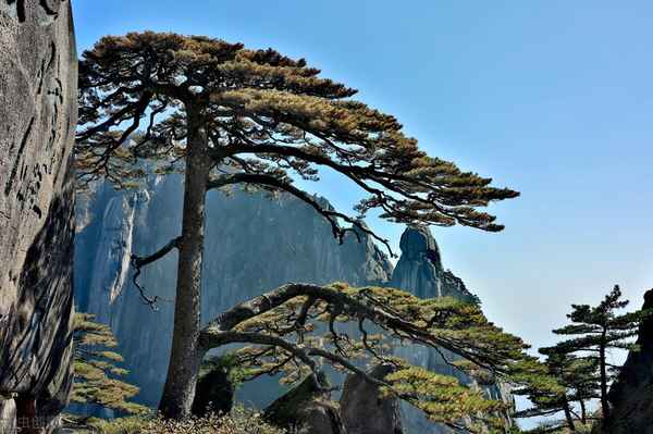 安徽黄山房产网-黄山房产资讯