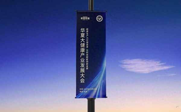 大健康產(chǎn)業(yè)報(bào)告、2024亞健康現(xiàn)狀分析