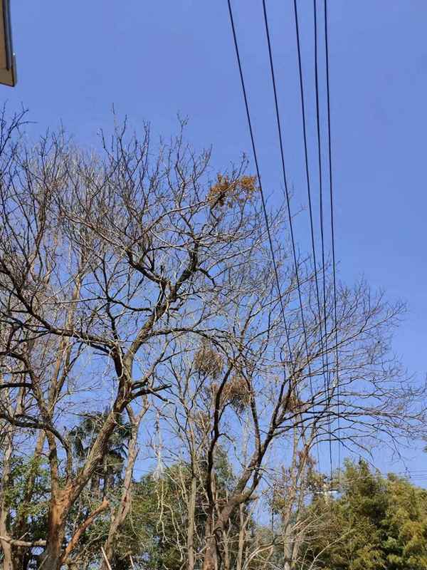 医学生问卷调查题目【调查问卷20题范文大全】