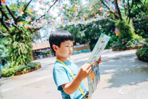 长隆飞鸟乐园旅游攻略;推荐一个好地方长隆飞鸟乐园