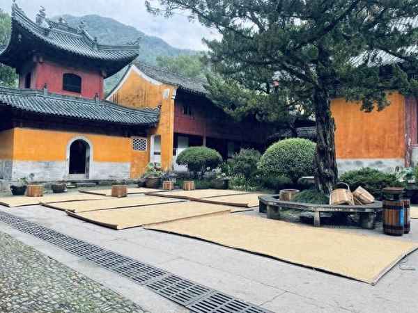 天台山国清寺旅游攻略,天台山必去的三个景点