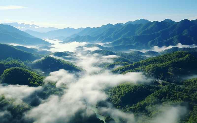 携手共绘旅游新画卷