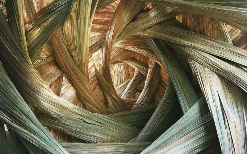 为爱筑巢：从发丝缠绕窥见电视剧里的情感纹路