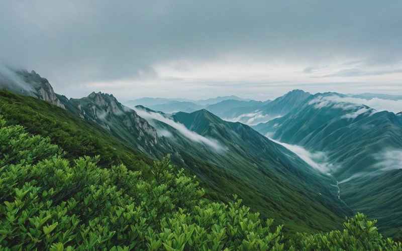 探秘太白山 奇特生态与壮丽风光