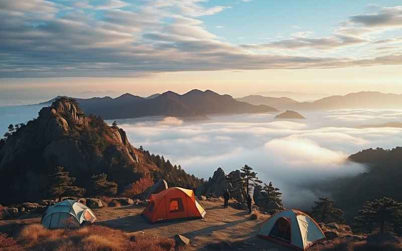 旅游统计热榜 旅游统计热榜