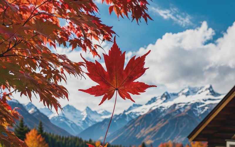 加拿大旅游胜地,温暖自然风景 加拿大旅游胜地,温暖自然风景