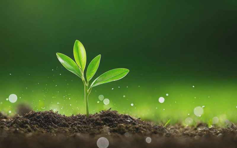 深潜时代，静待春雷