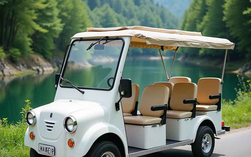 电动汽车2座_电动汽车2座多少钱一辆