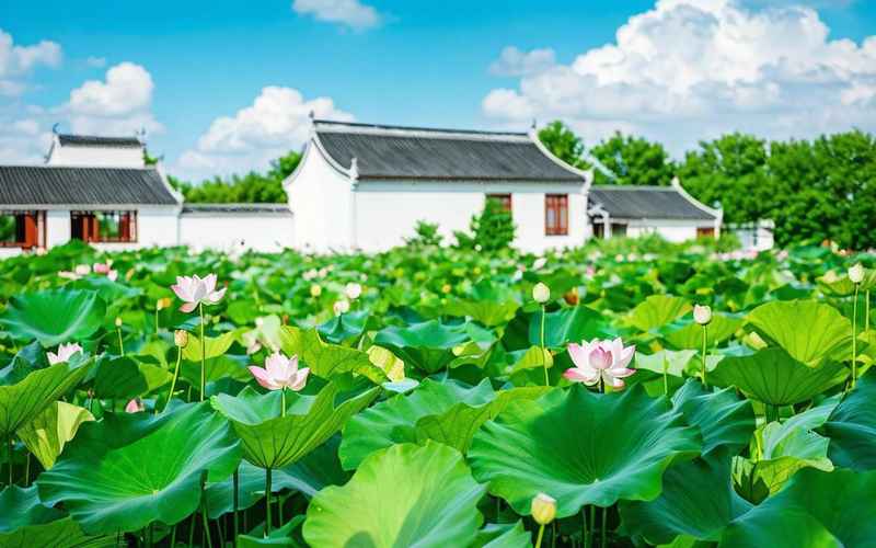 宿迁十大必游景点排行榜