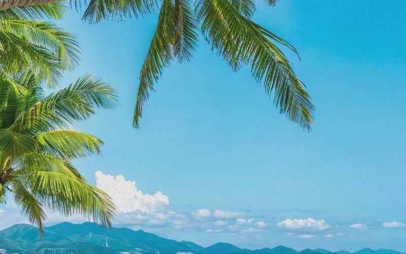 兰州三亚旅游团报价一站搞定 兰州三亚旅游团报价一站搞定