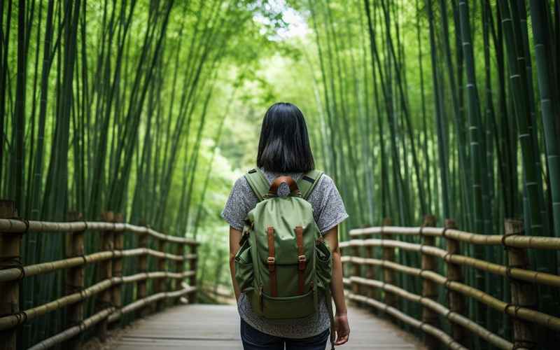 竹山探秘：感受竹海风光