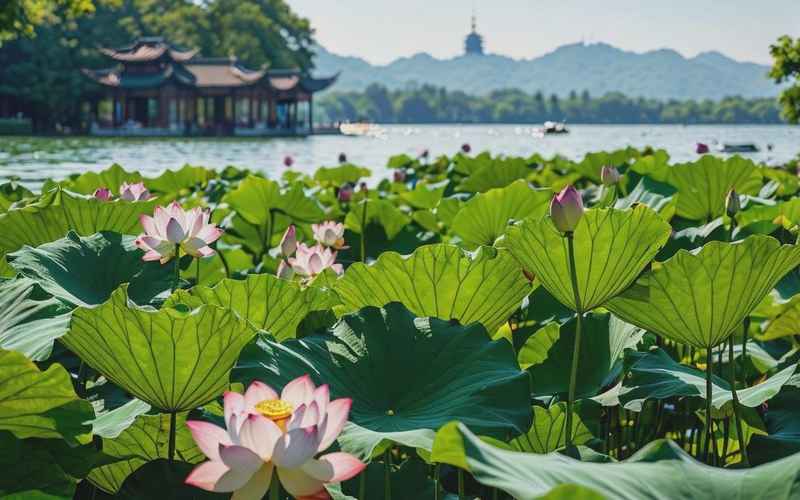 杭州5日海上美景精选景点推荐