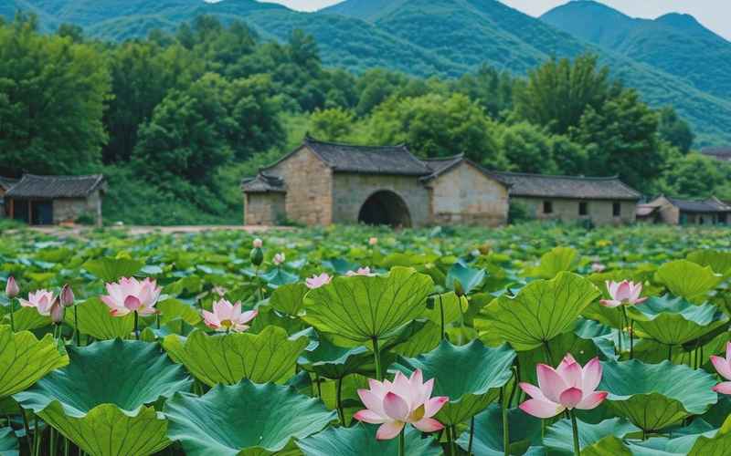 安庆岳西最美景点，发现安庆的绝美风光