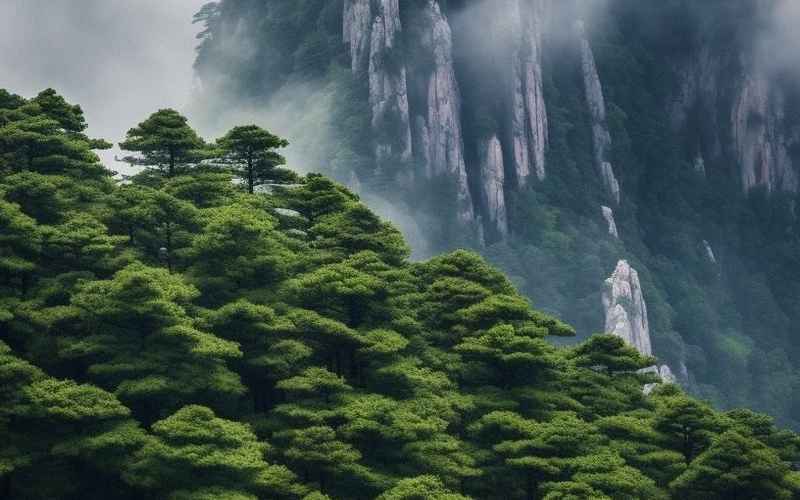 江西省旅游必去景點指南：廬山、婺源、井岡山