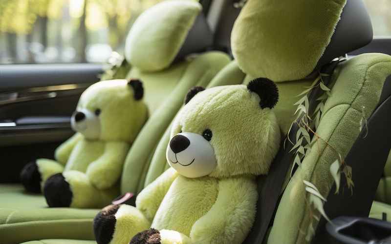 汽車坐墊有必要買嗎、汽車坐墊到底有沒有必要
